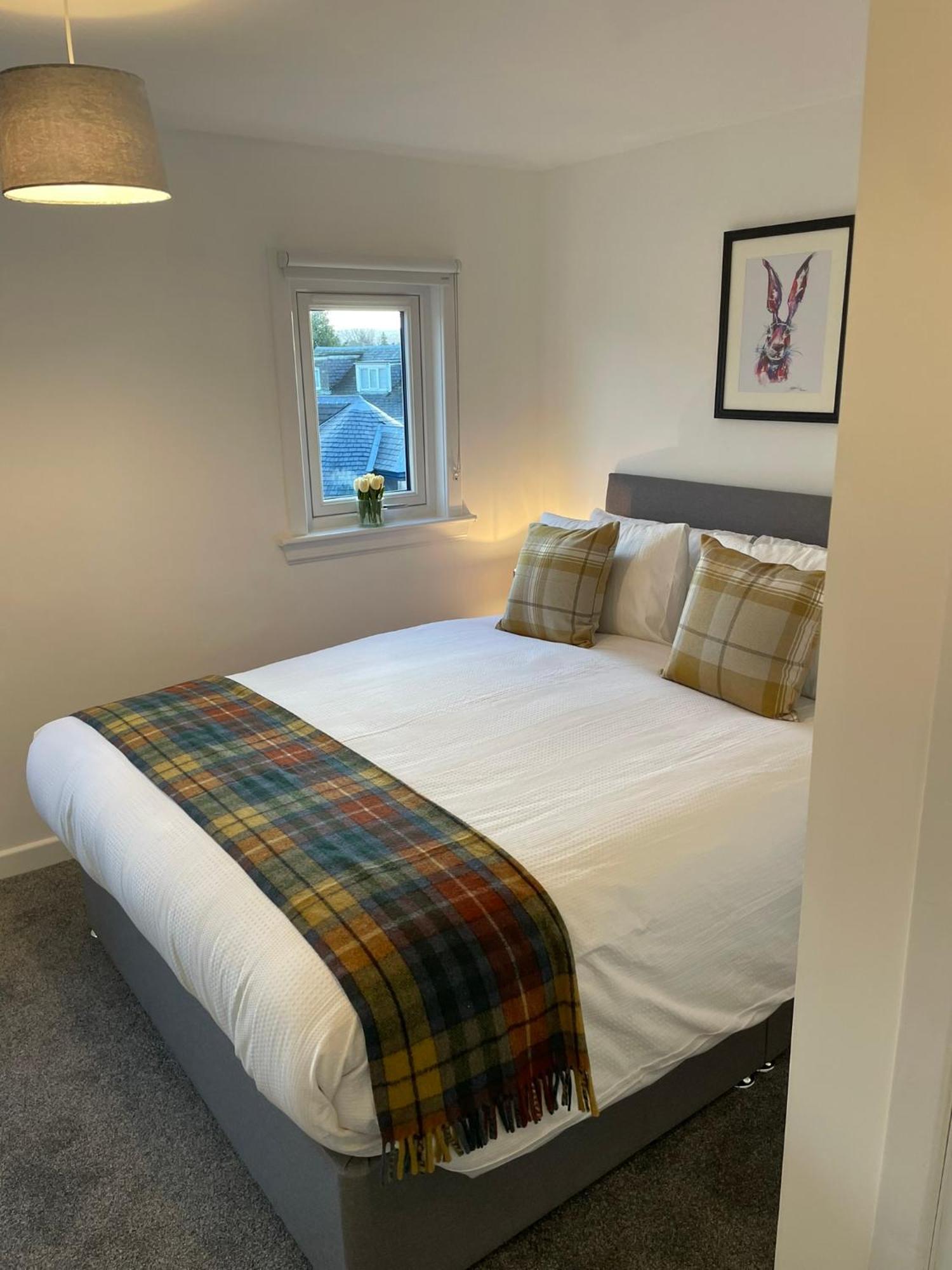 Tartan House